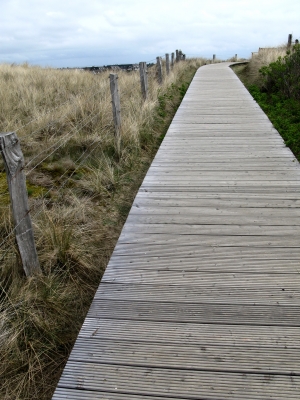 Holzweg in den Himmel