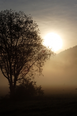 Erstes Morgenlicht