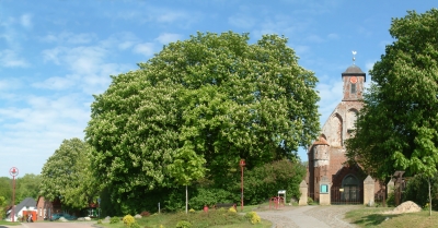 Pfarrkirche Samtens