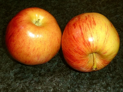 ein Apfelpaar
