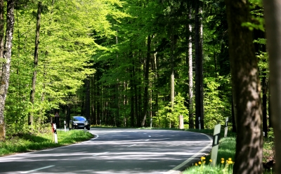 Landstraße mit Waldkurve
