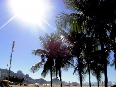 Palmen an der Copacabana