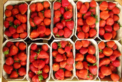 frische Erdbeeren auf dem Markt