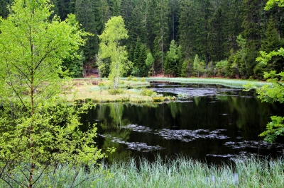 Windstille am Buhlbachsee