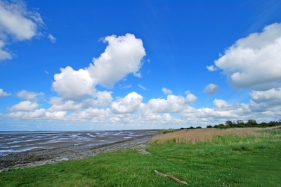 Küstenbild an der Nordsee - Naturfarben  (unverändert)