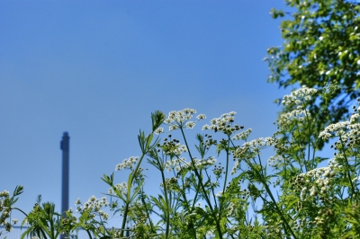 Kraftwerk Natur