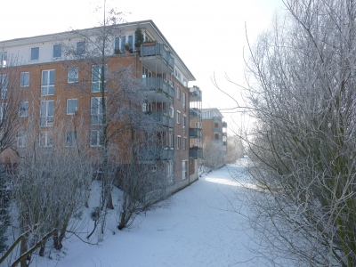 Winter 2010 in Neuallermöhe-West bei Hamburg