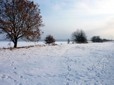 Felder bei Neuallermöhe-West im Winter 2010