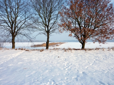 Felder bei Neuallermöhe-West im Winter 2010
