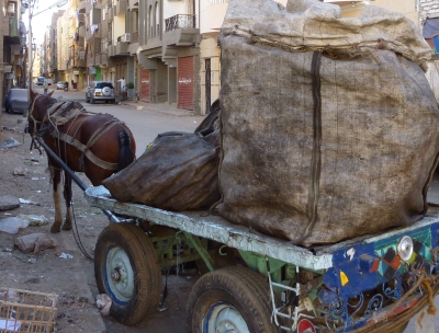 Müllabhuhr in Luxor ( Ägypten )