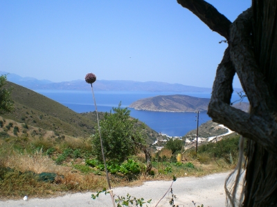 Nisida Pseira - Kreta