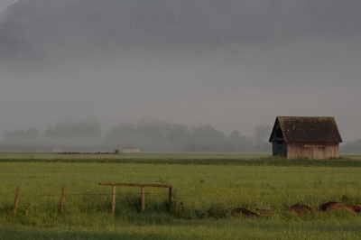 Ennstal im Morgennebel