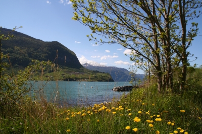 wunderschöne Natur