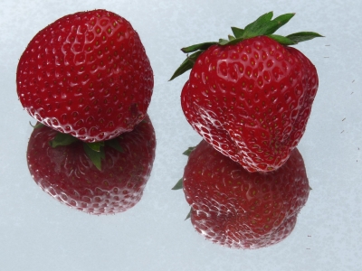 Erdbeer-Zwillinge