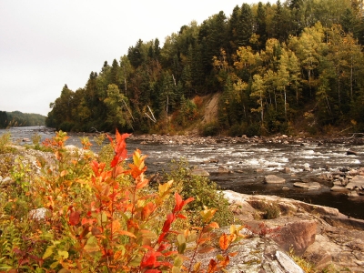 Rast im Nationalpark im Osten von Kanada