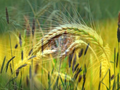 Sommerzeit