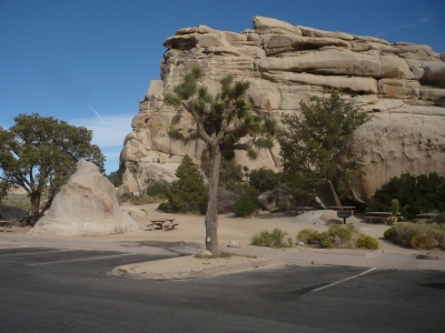 Felsen Landschaft Natur