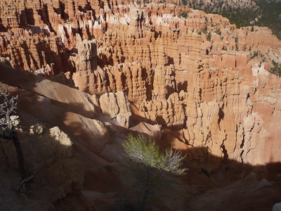 Felsen Landschaft Natur