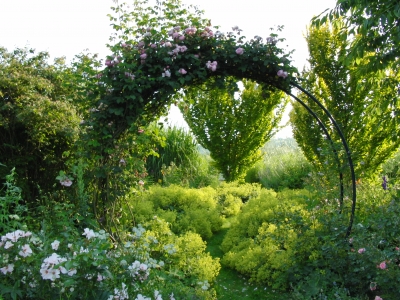 Rosenbogen im Wundergarten