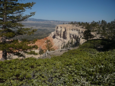 Felsen Landschaft Natur