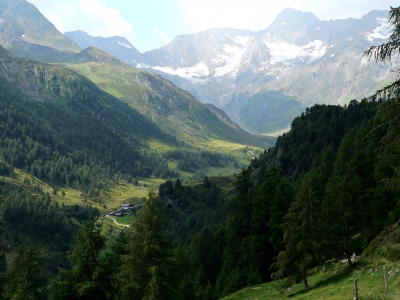 Almhütte in Südtirol