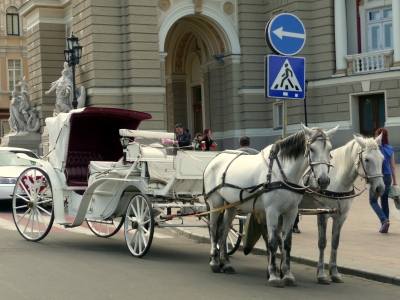 Hochzeitskutsche vor der Oper in Odessa