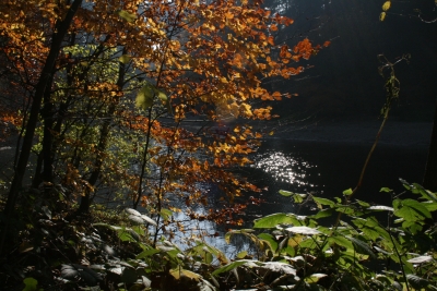 Herbstwanderung an der Sitter