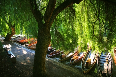 Bootsverleih am Neckar unter Weiden
