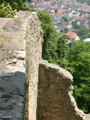 Burg Rötteln in Lörrach III