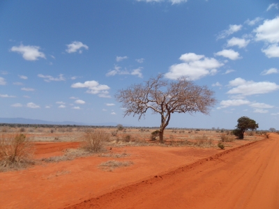 Kenia - Tsavo Ost Safari