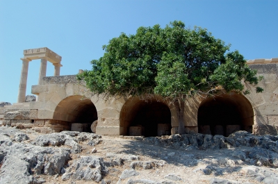 Baum in der Akropolis bei Lindos auf Rhodos