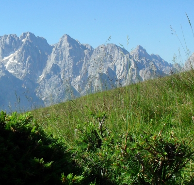 Woschza Alm in den Karawanken