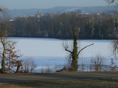 Zugefrorener Altarm des Rheins