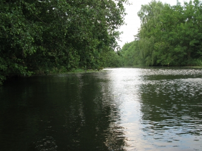 Ein See in der Nähe von Barum bei Lüneburg