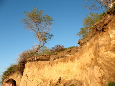 Insel Poel Steilküste in der Abendsonne