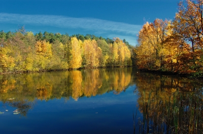 herbst 2008 rothsee