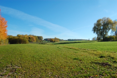 herbst 01.11.08 am Rothsee