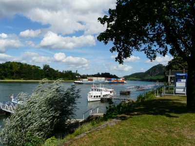 Rhein am Drachenfels