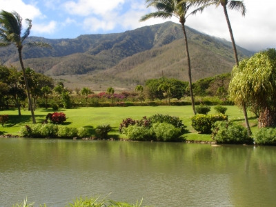 Landschaftsgarten auf Hawaii