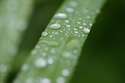 Nach dem Regen