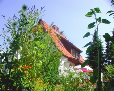 Haus  - Garten