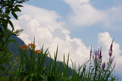 Wolken und Blumen 2