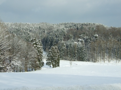 Winterlandschaft 1