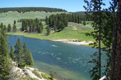 Blick auf den Yellowstone River