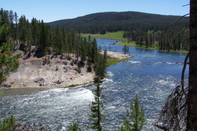Yellowstone river mit Stromschnellen