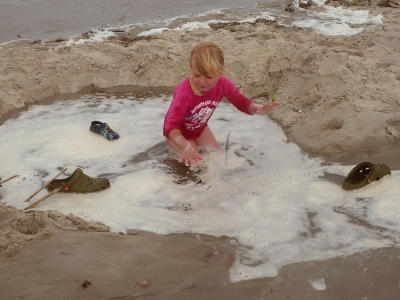 Hilfe ! Hochwasser am  Nordseestrand