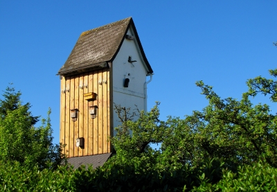 Vogelhaus-Wohnblock