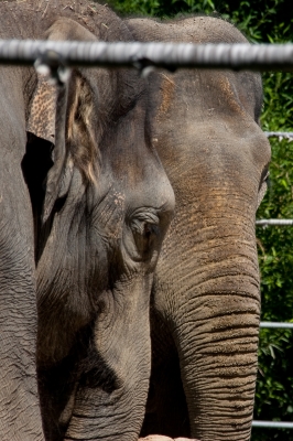 Im Tierpark Hellabrunn