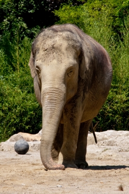 Im Tierpark Hellabrunn