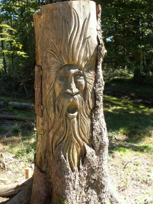 Kunst aus altem Baumstumpf